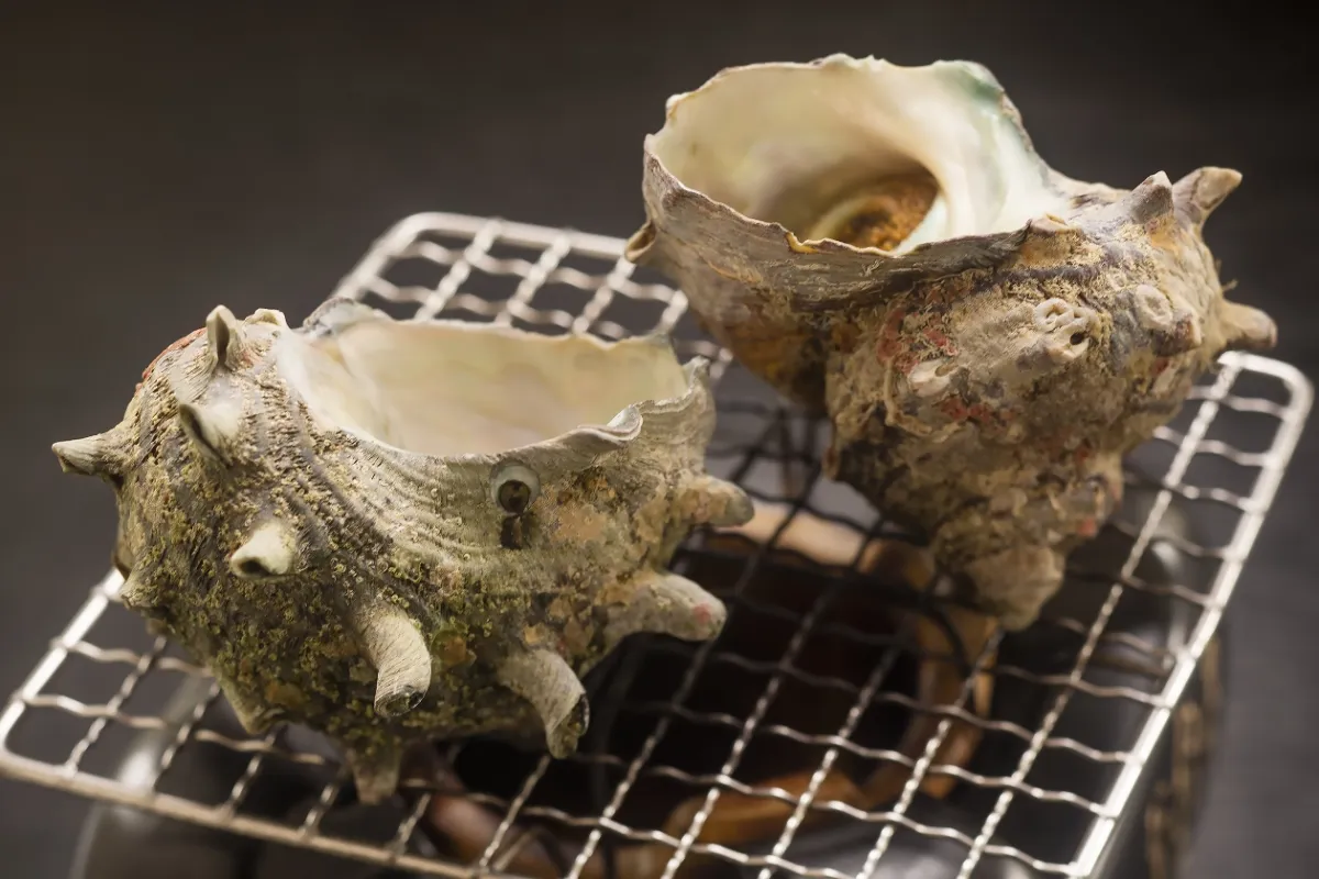 「磯の旨味が凝縮」サザエ
